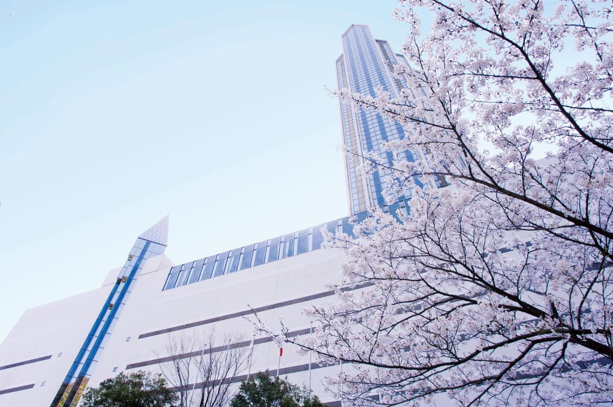 Ana Crowne Plaza By Ihg Kōbe